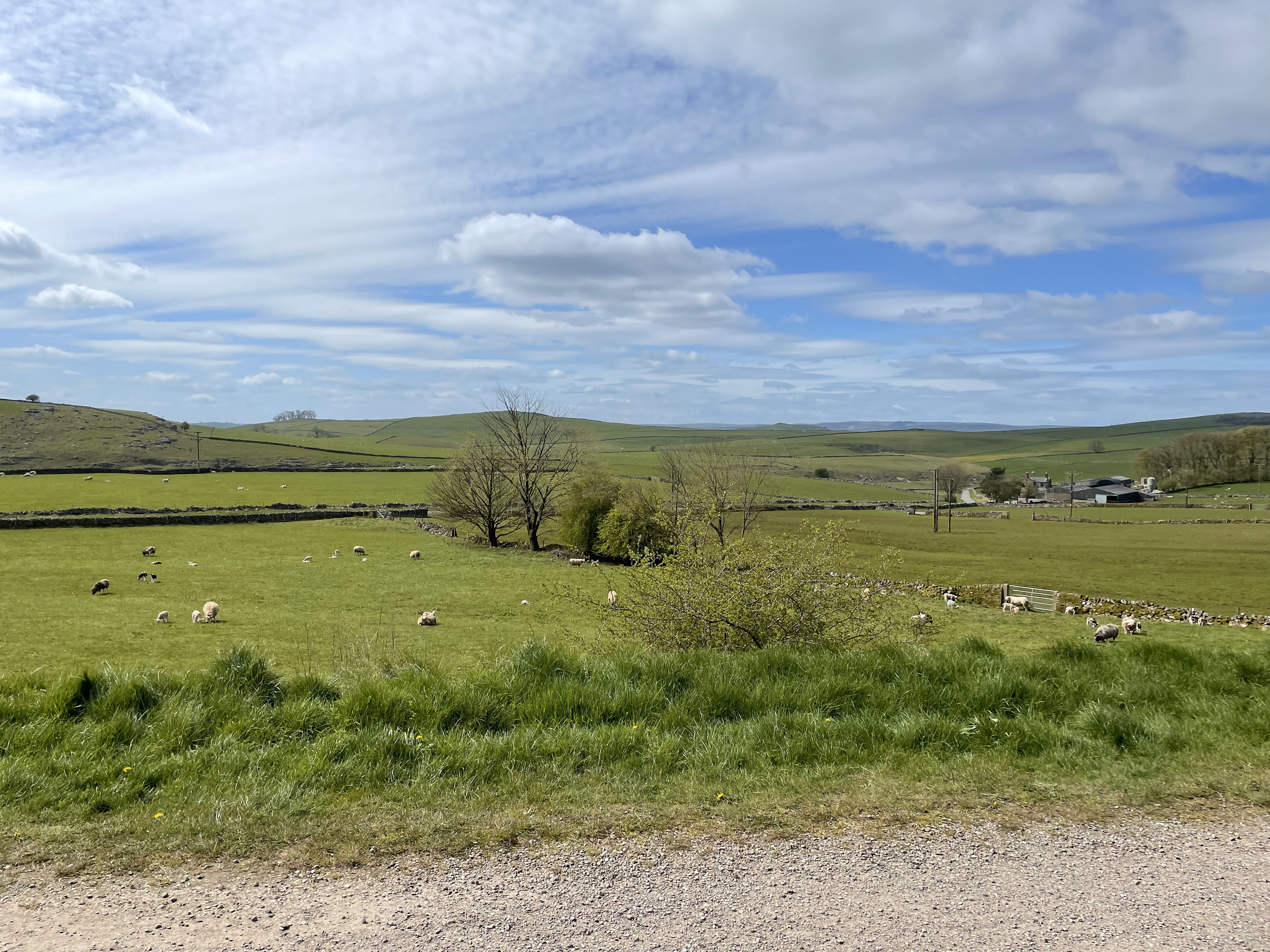 Joggling Races 91 - 99